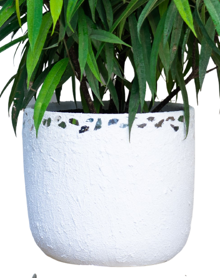 Rigid Silver Pot 0