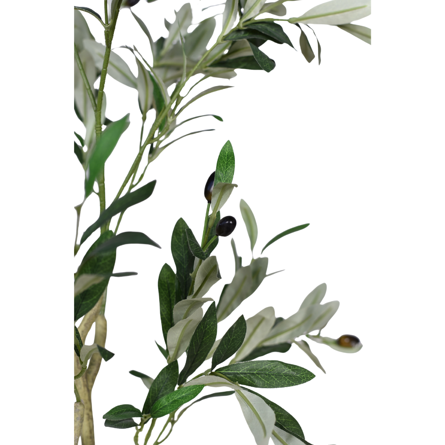 GZoCEiHQHCbsd08l3AuKiYXVEygBYan0hXQJYbSB.png