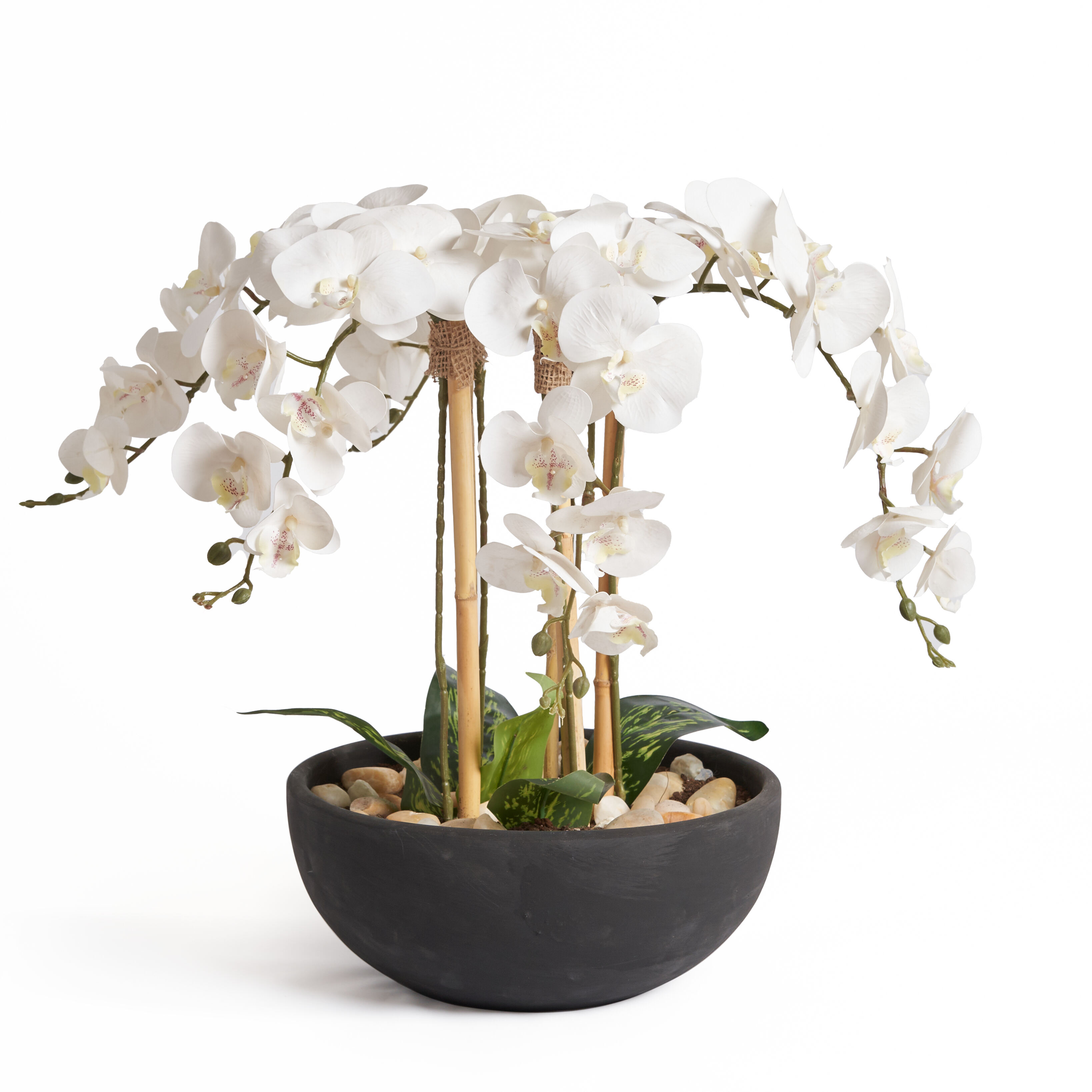Decorative Orchids with Black pot 0