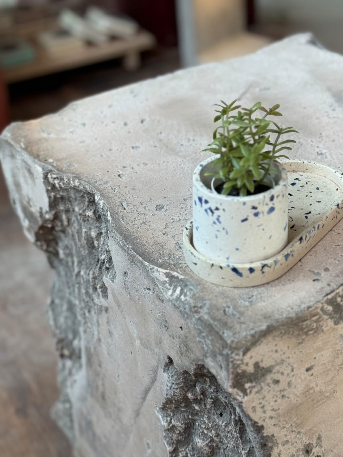 Concrete Decorative Cup 2