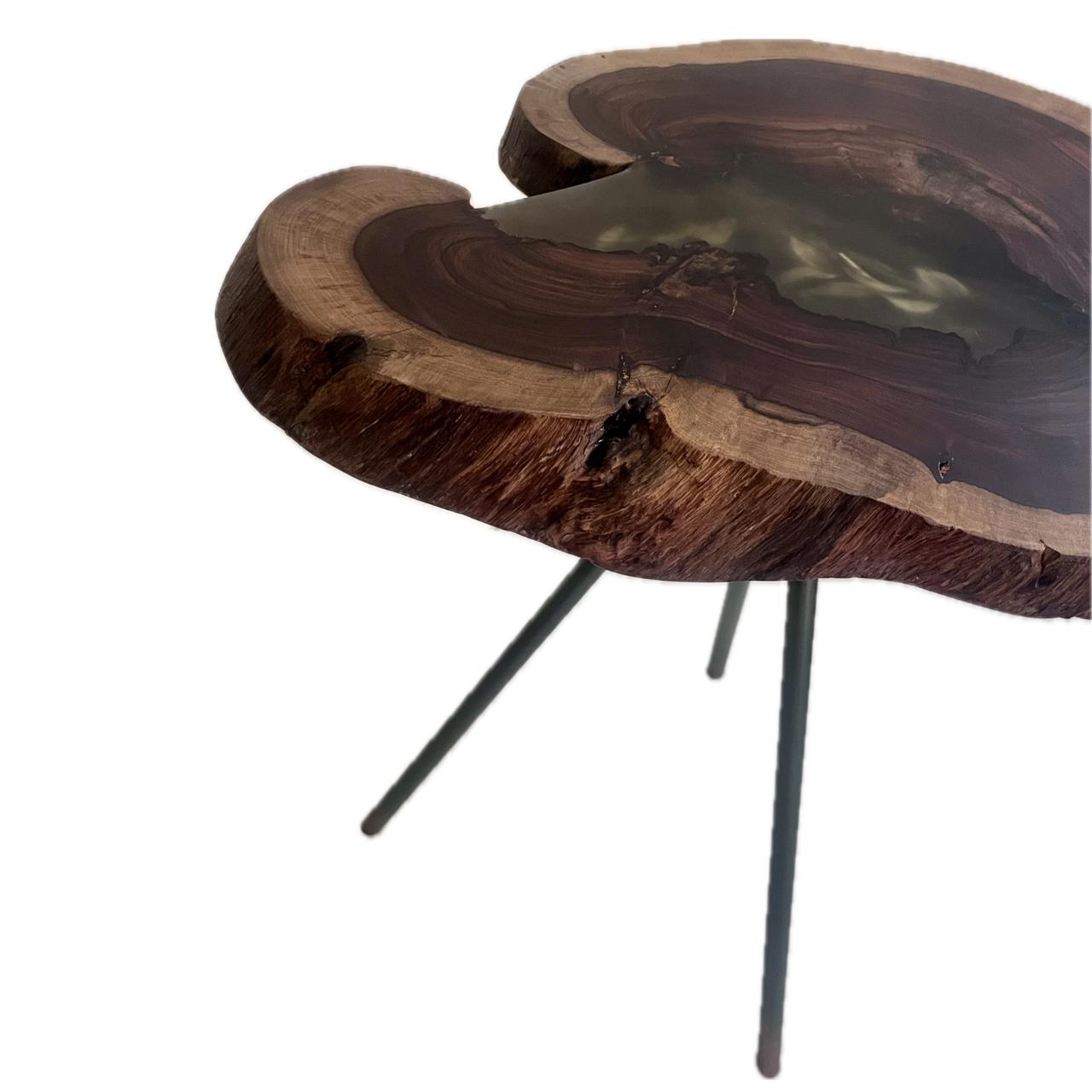 Tree Log Side Table – Resin & Natural Leaves 4