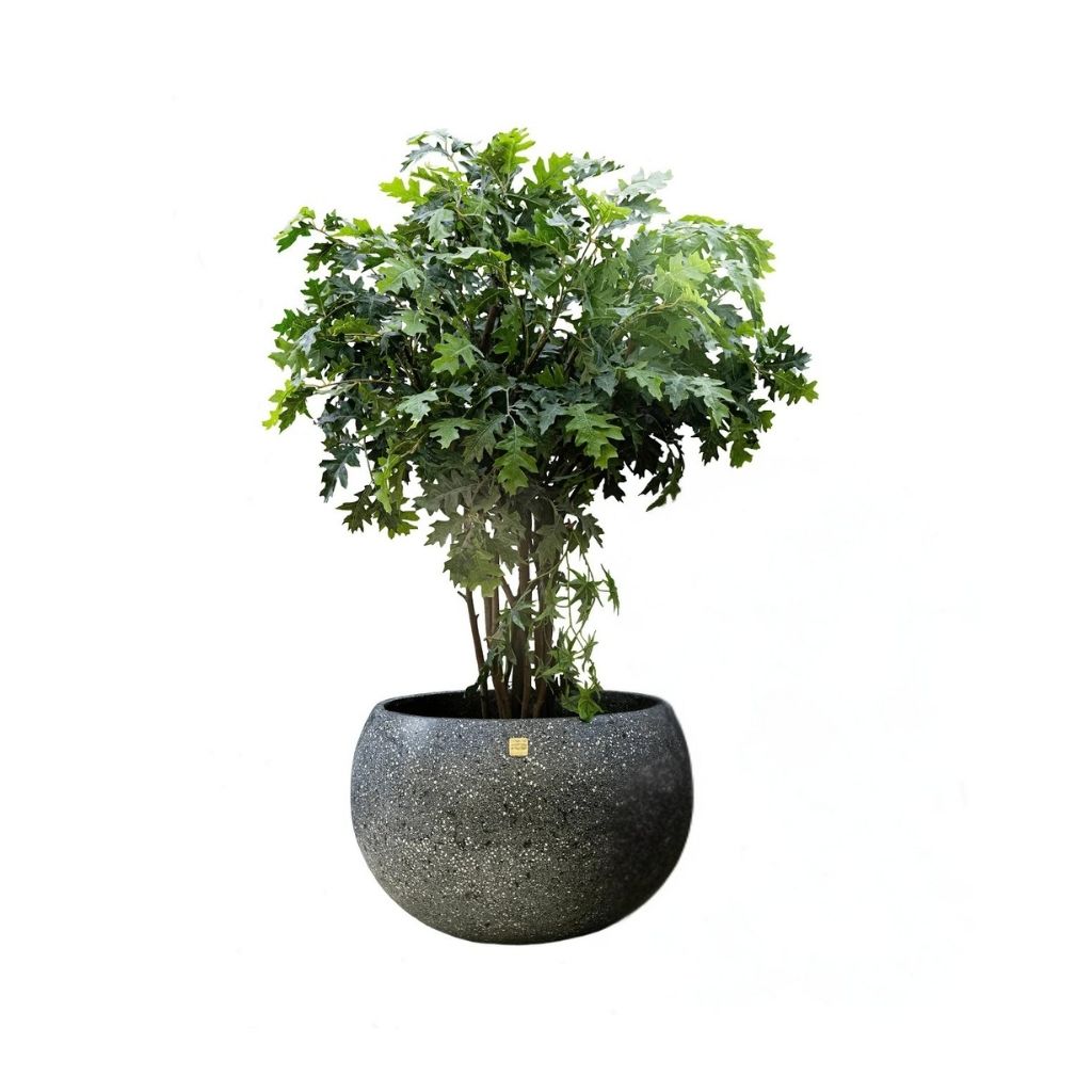 Tut Terrazzo Pot 0
