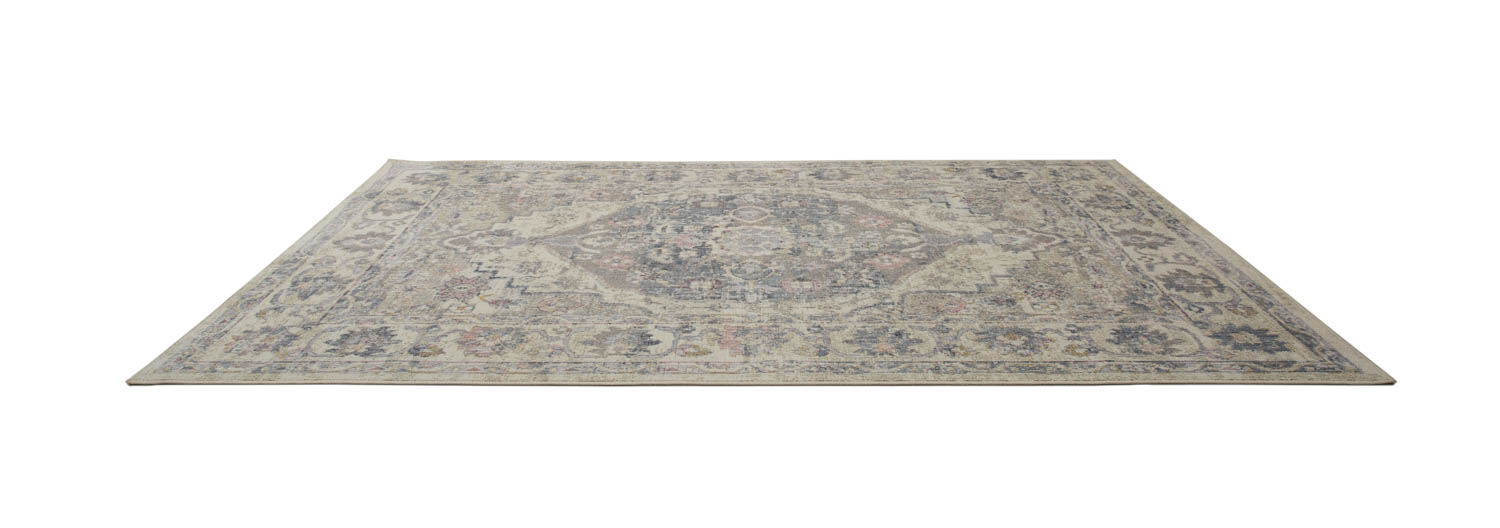 Rosmarie 45001 - PD4 - L 2