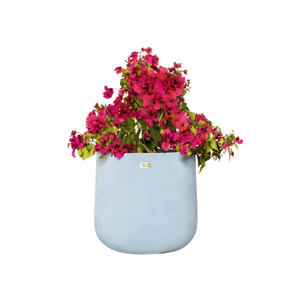 Sia Planter - Rustic Design Inspired by Wells - Perfect for Small Spaces 0