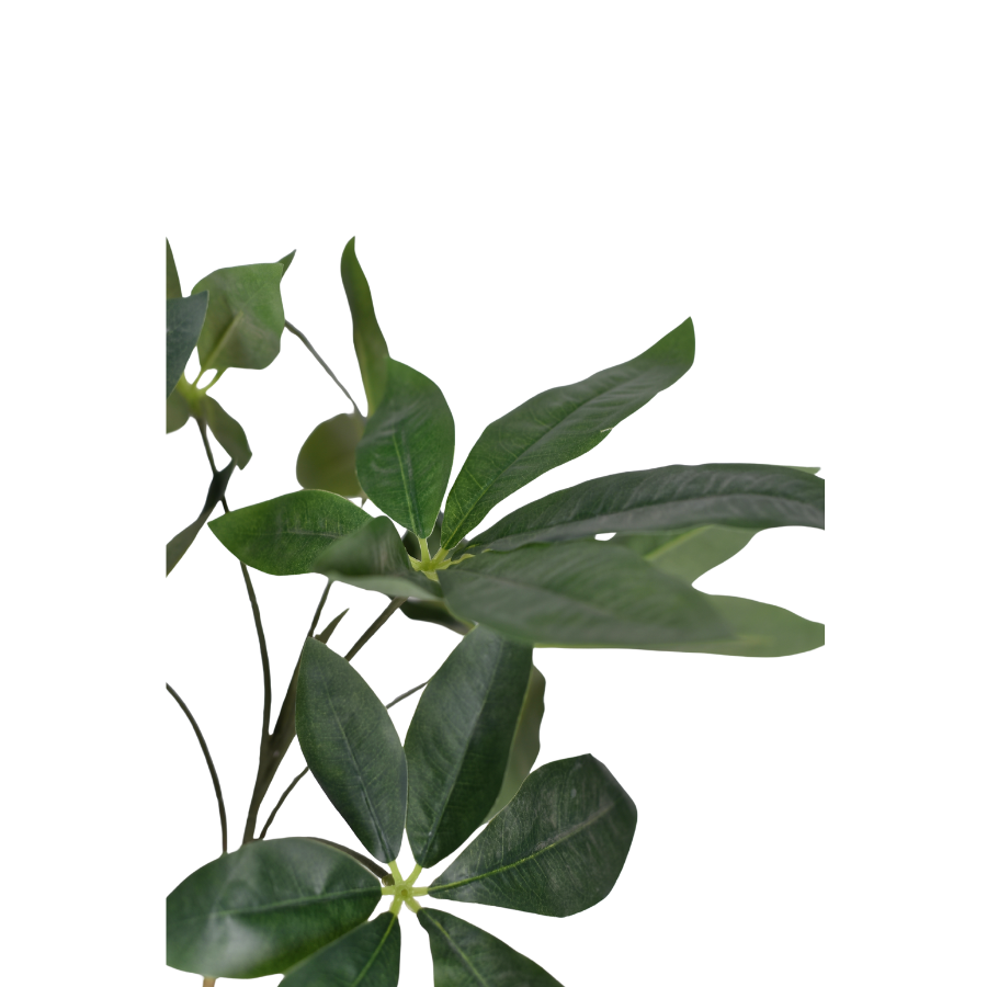 K02ULEttw0KrLYeG9uNsOZaFlFa3kfPXGWeYViS6.png