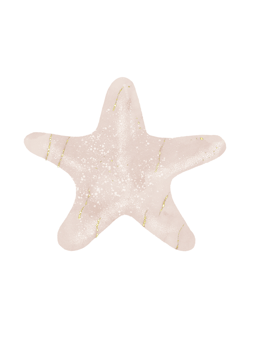 Beige Star Fish 0