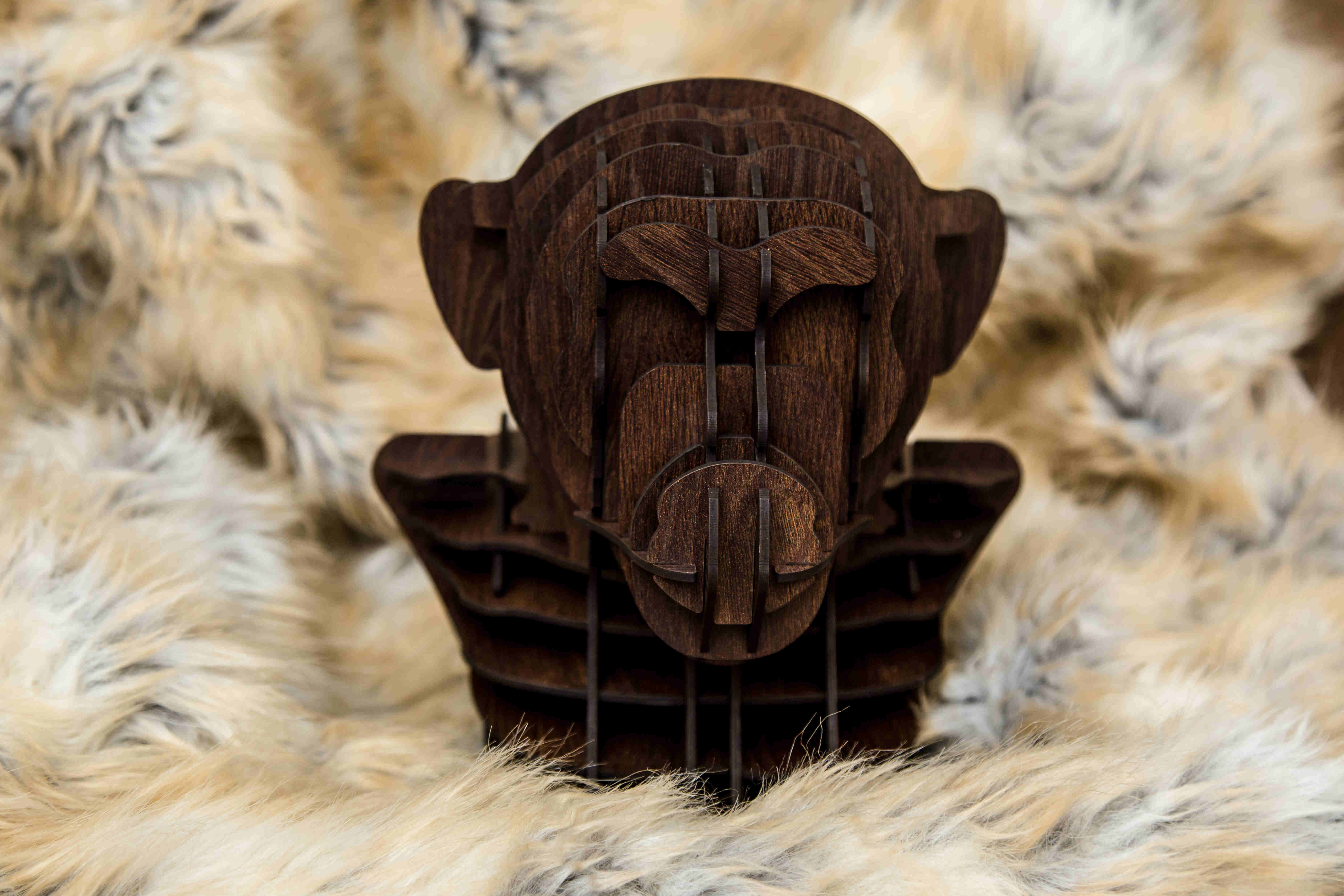Alpha Chimpanzee Head 3
