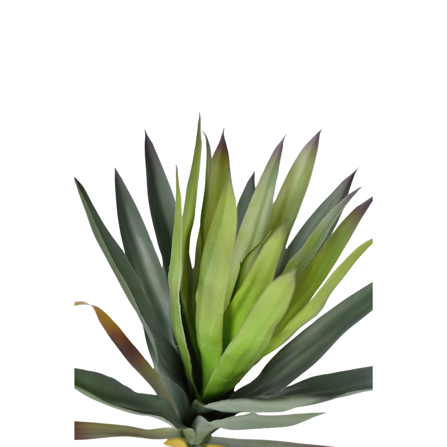 L606MMkVNANcnG1cKGtunIQesKUK4Dt6Ssk9faOv.png
