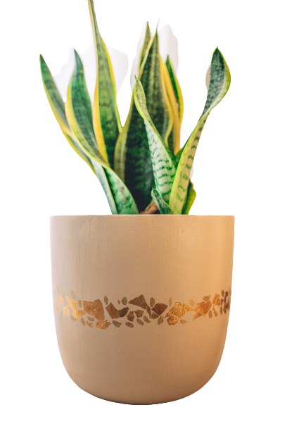 Rustic gold Desert-Beige Pot image
