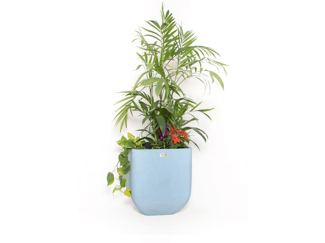 Apis Medium Size Planter 0