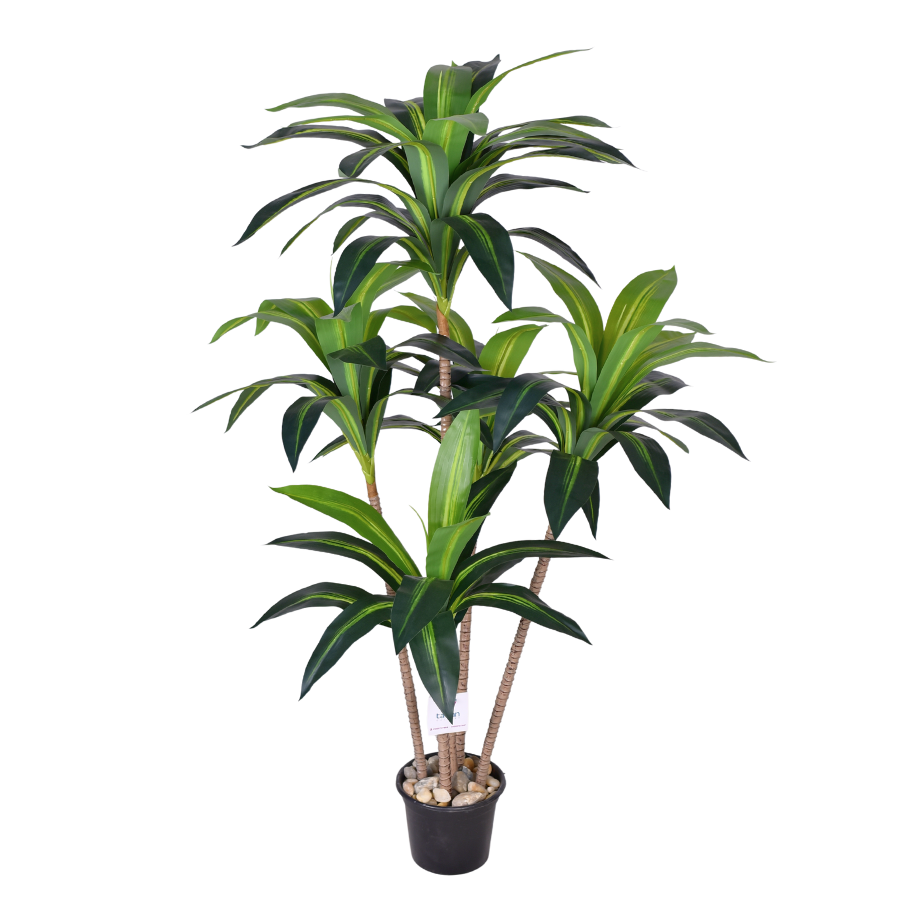 MIO62WJzJKV6VXd4B6WJZZF2grD3GP8I2Tu7eSHK.png