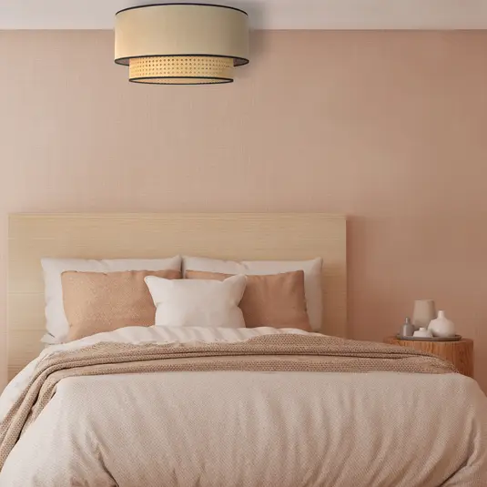 Charlie Modern Ceiling Lamp - YLM018 1