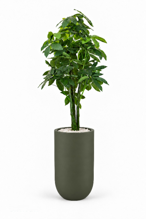 NNbQuoPZsp03MMWpAYB0PX8TMmOc40za2ym77Ytg.png