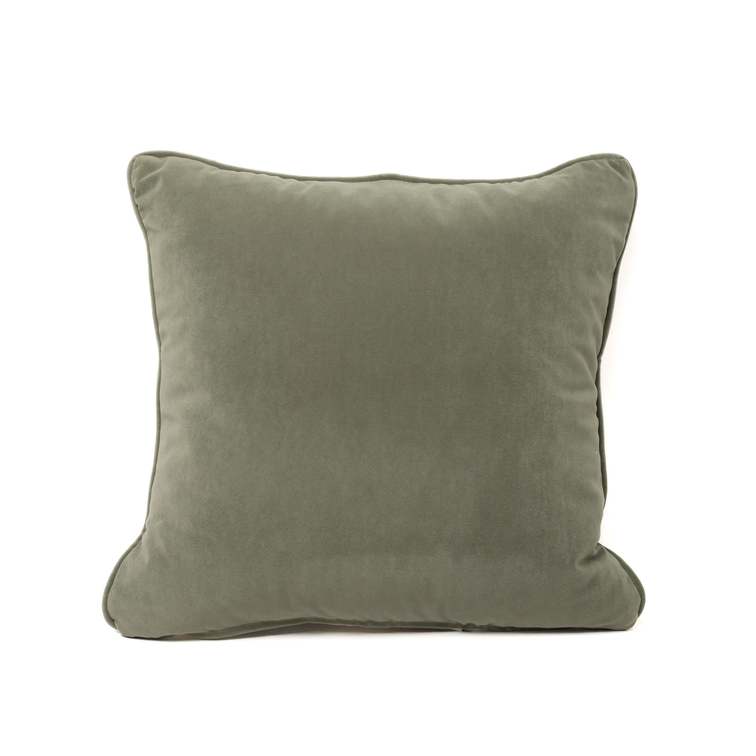 Green Moss Velvet Cushion (NS Tesla-29) image