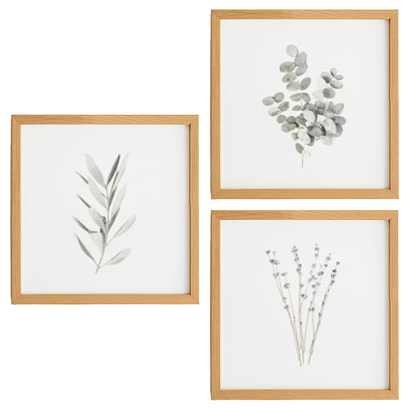 Branches Prints (Set of 3) 0