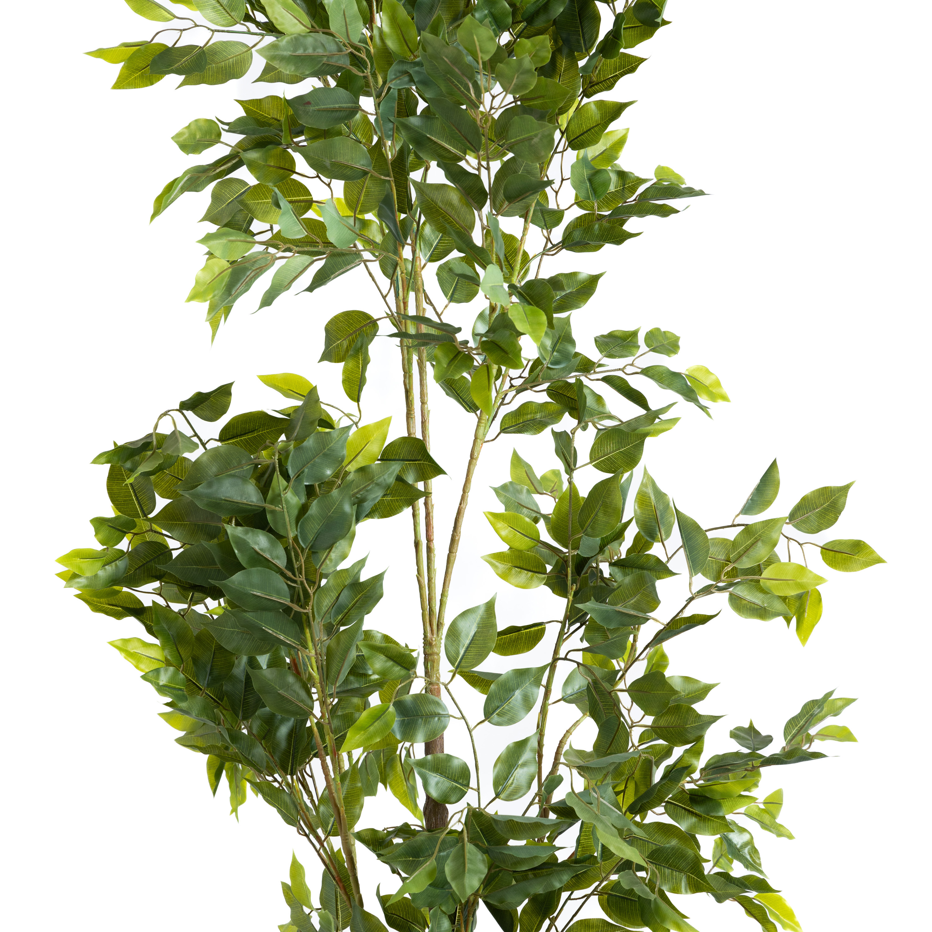 Artificial Benjamina Tree - Big Leaf 3