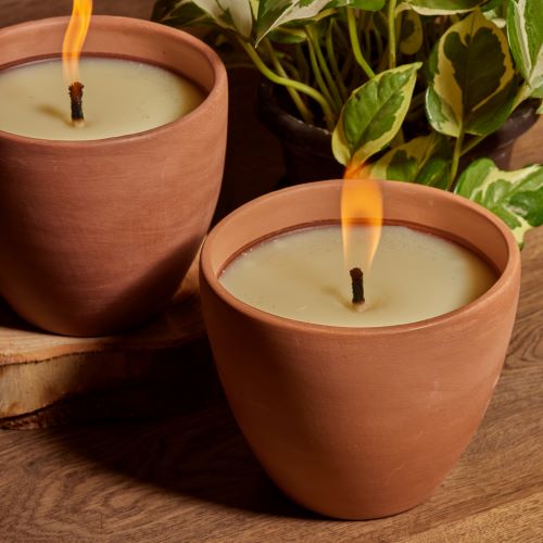 Terracotta Citronella Oval Pot 1
