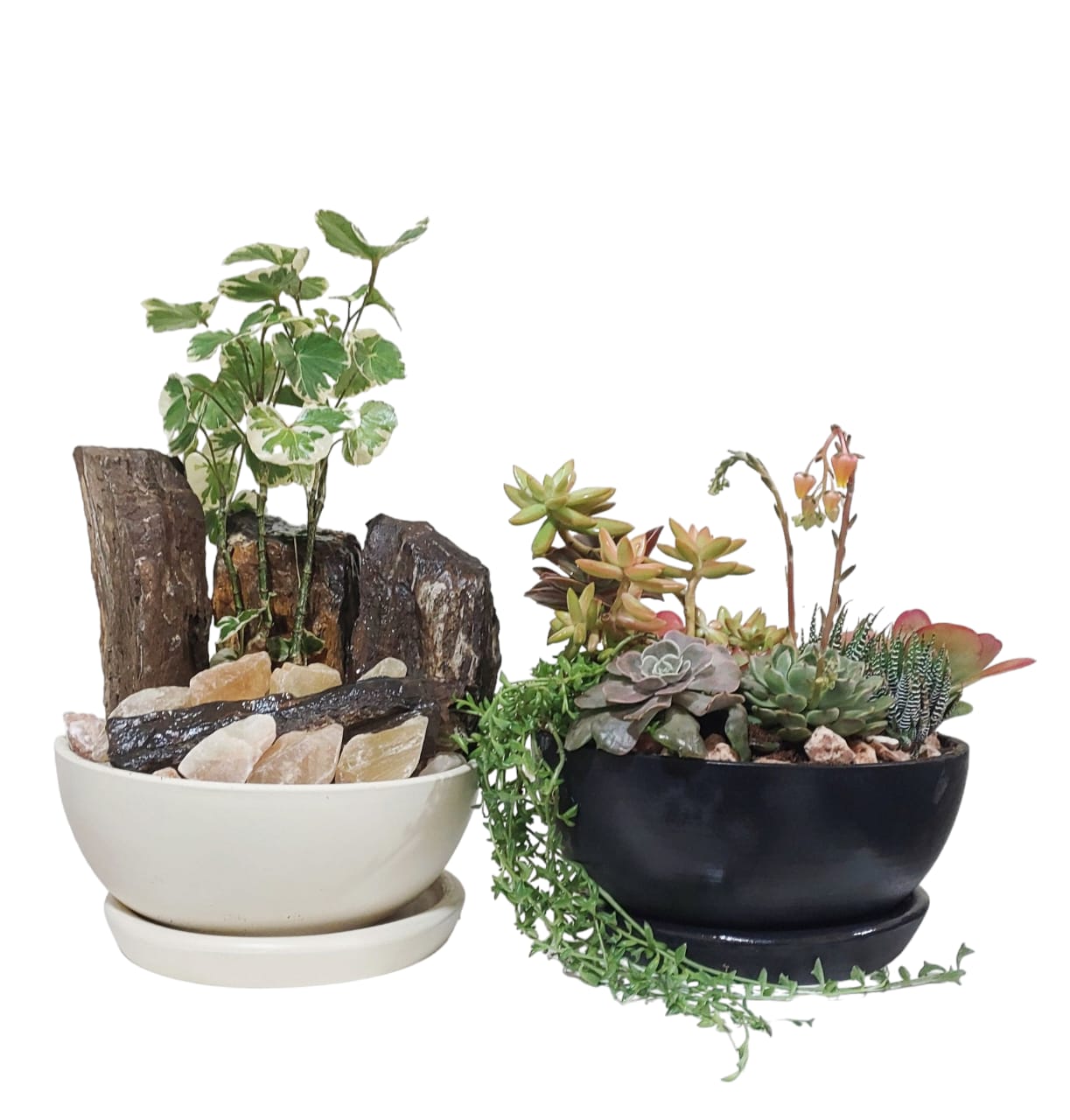 Mountain View and Nebula Set 0