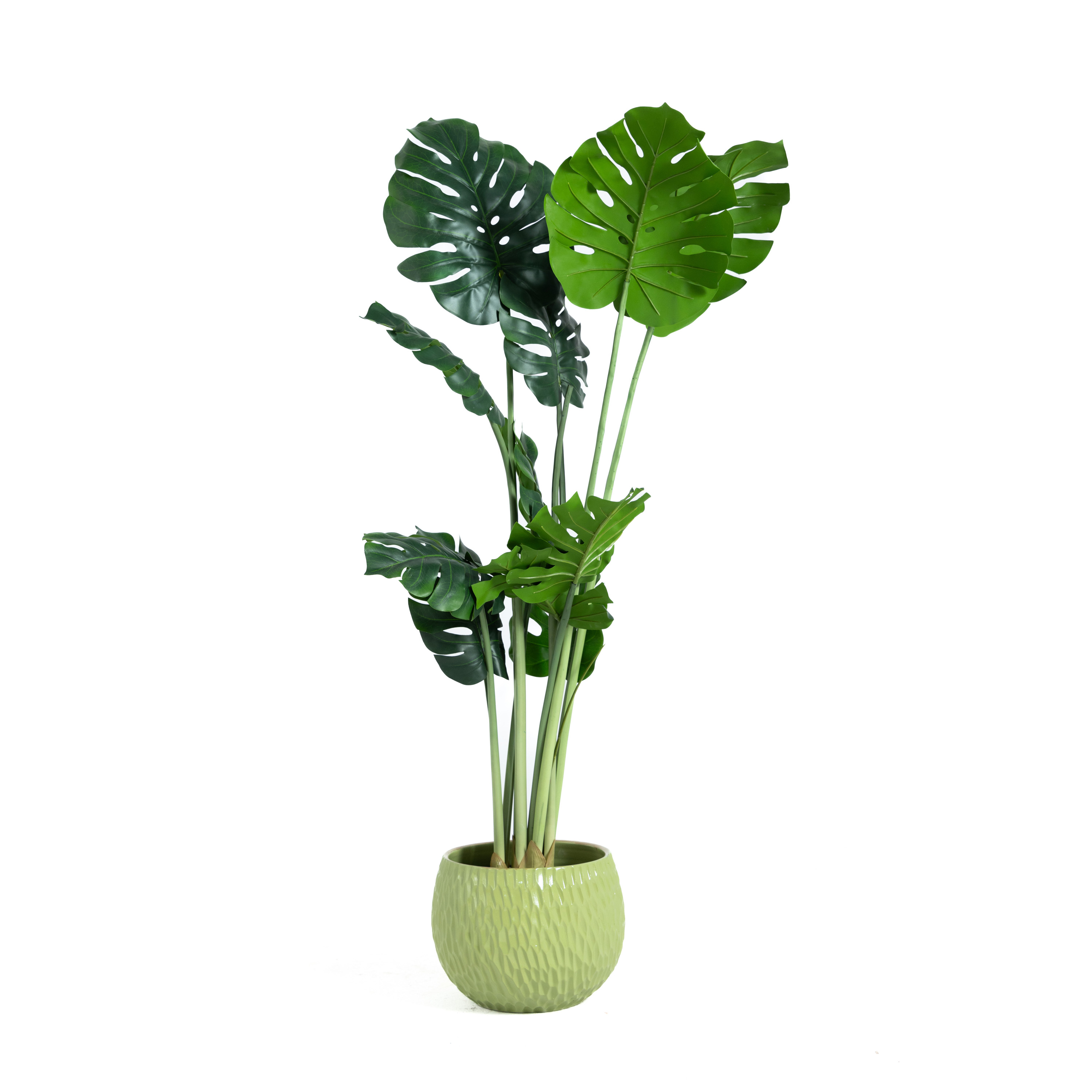 Artificial Fijka Plant 2