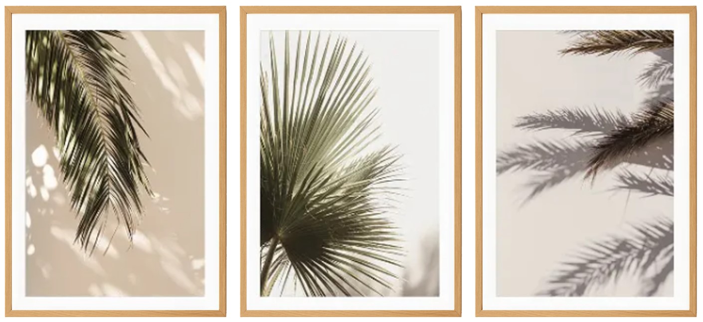 Palm Tree Set of 3 Printable Art 0