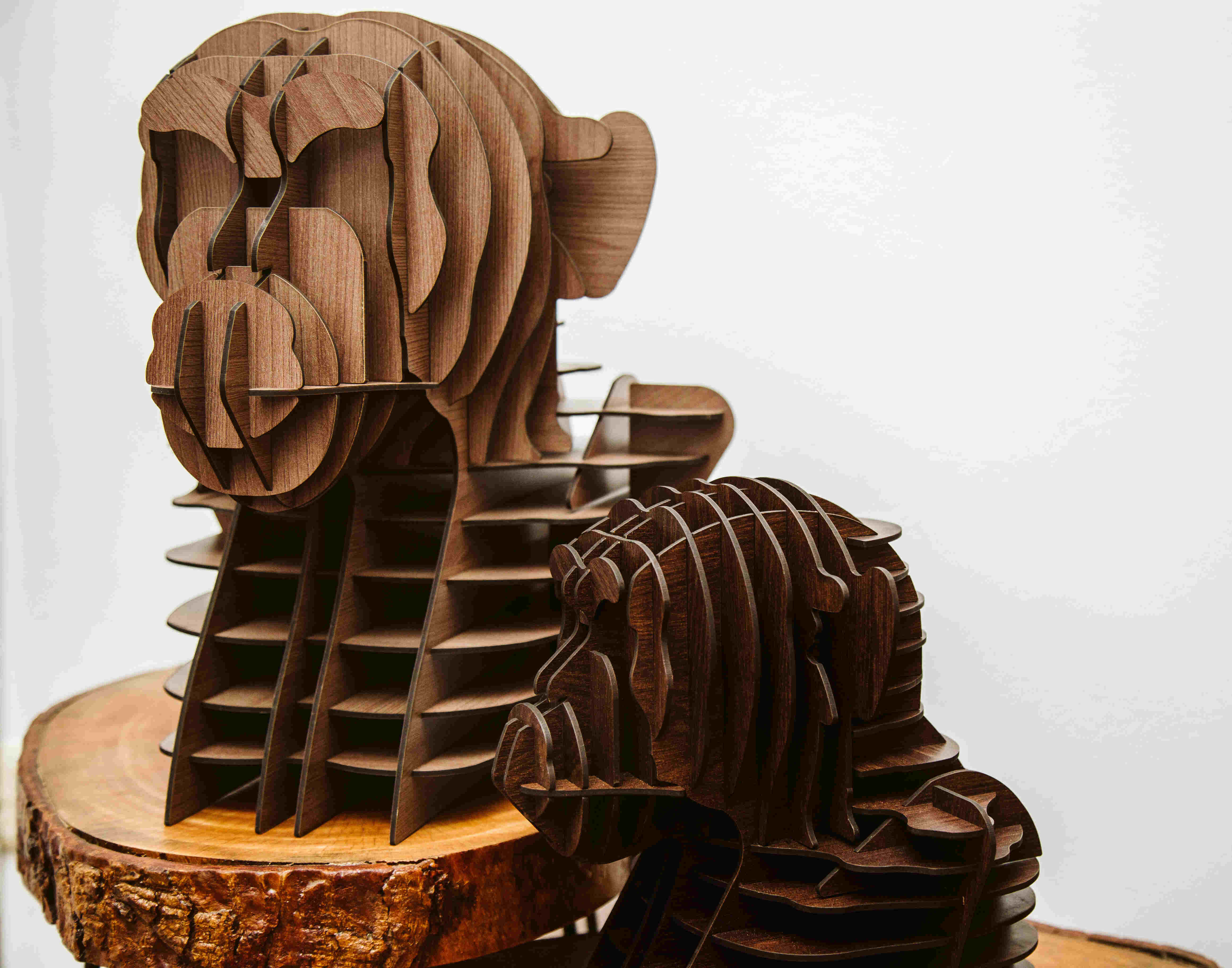 Alpha Chimpanzee Head 5