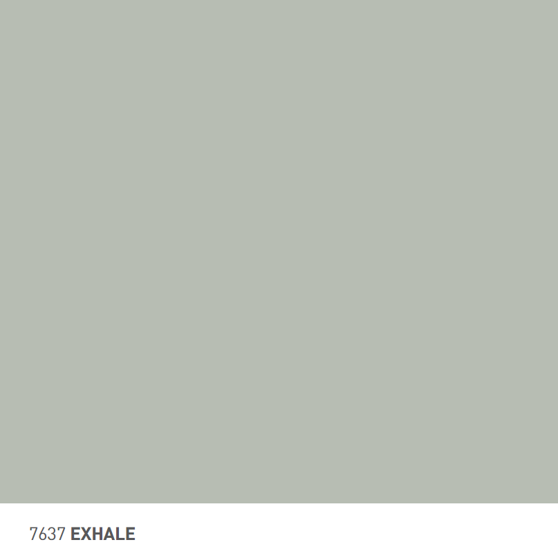 7637 Exhale 0