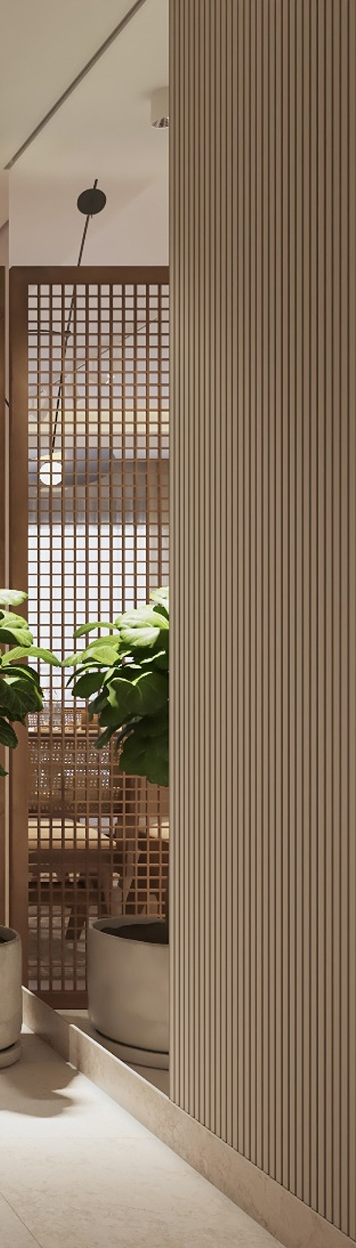 Zed Wall cladding/Mirror 0