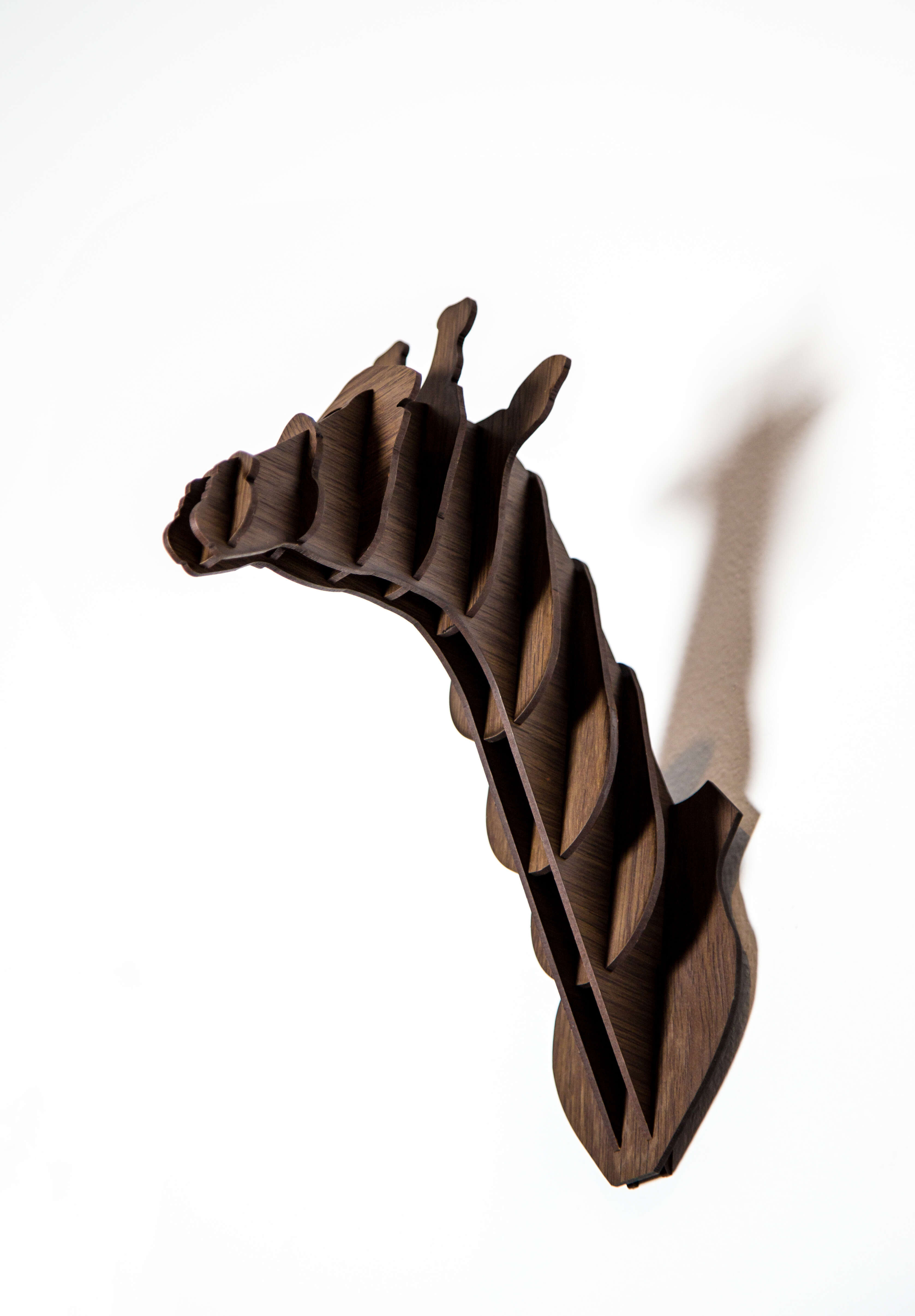 Cosmo The Giraffe Head 2