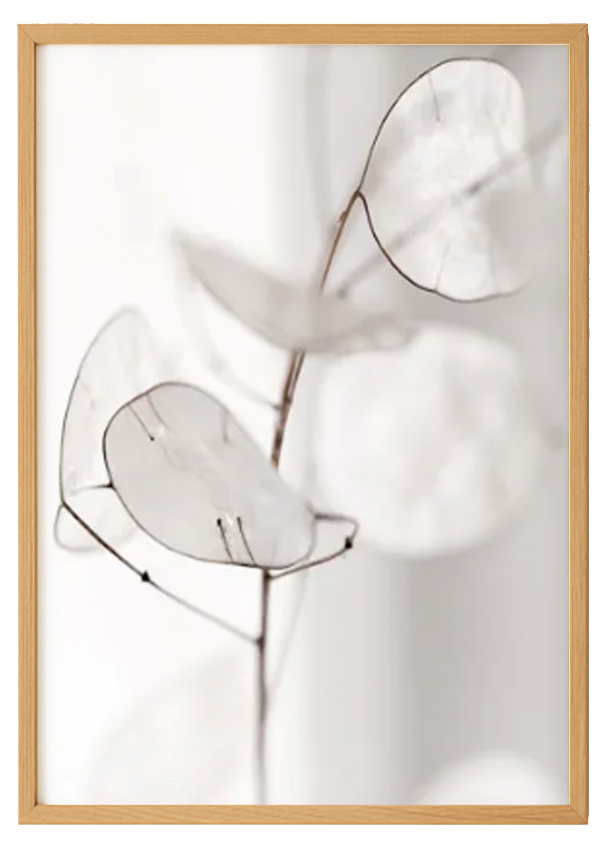 Afloat Lifestyle White Aesthetic Print 0