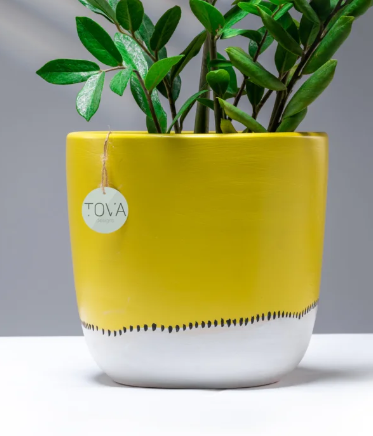 Doodle Yellow  Pot 0