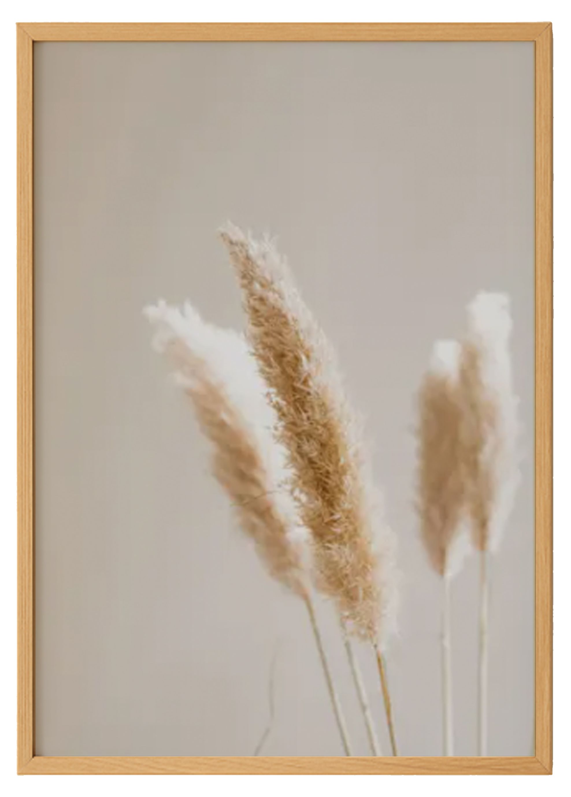 Pampas Photography Print 0