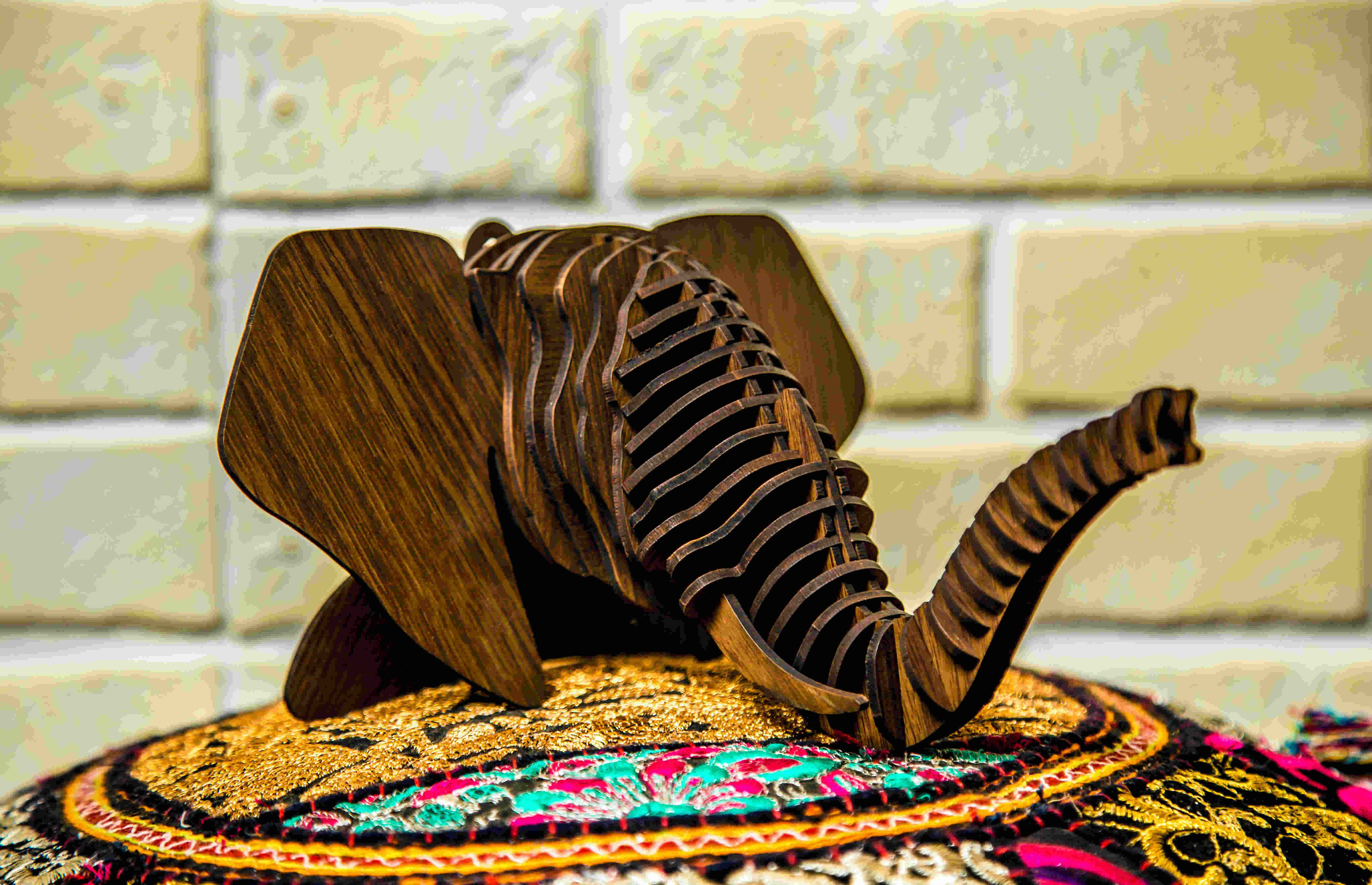 Dharma The Elephant Head 2