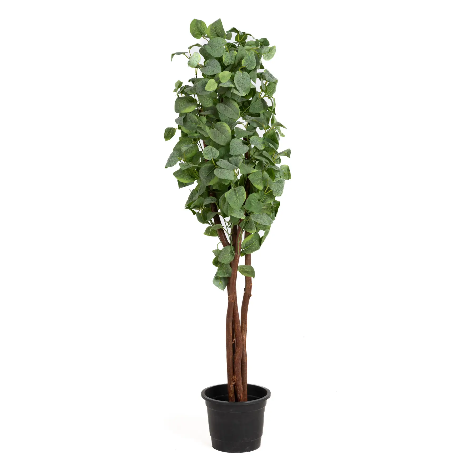 Artificial Grand Tree 0