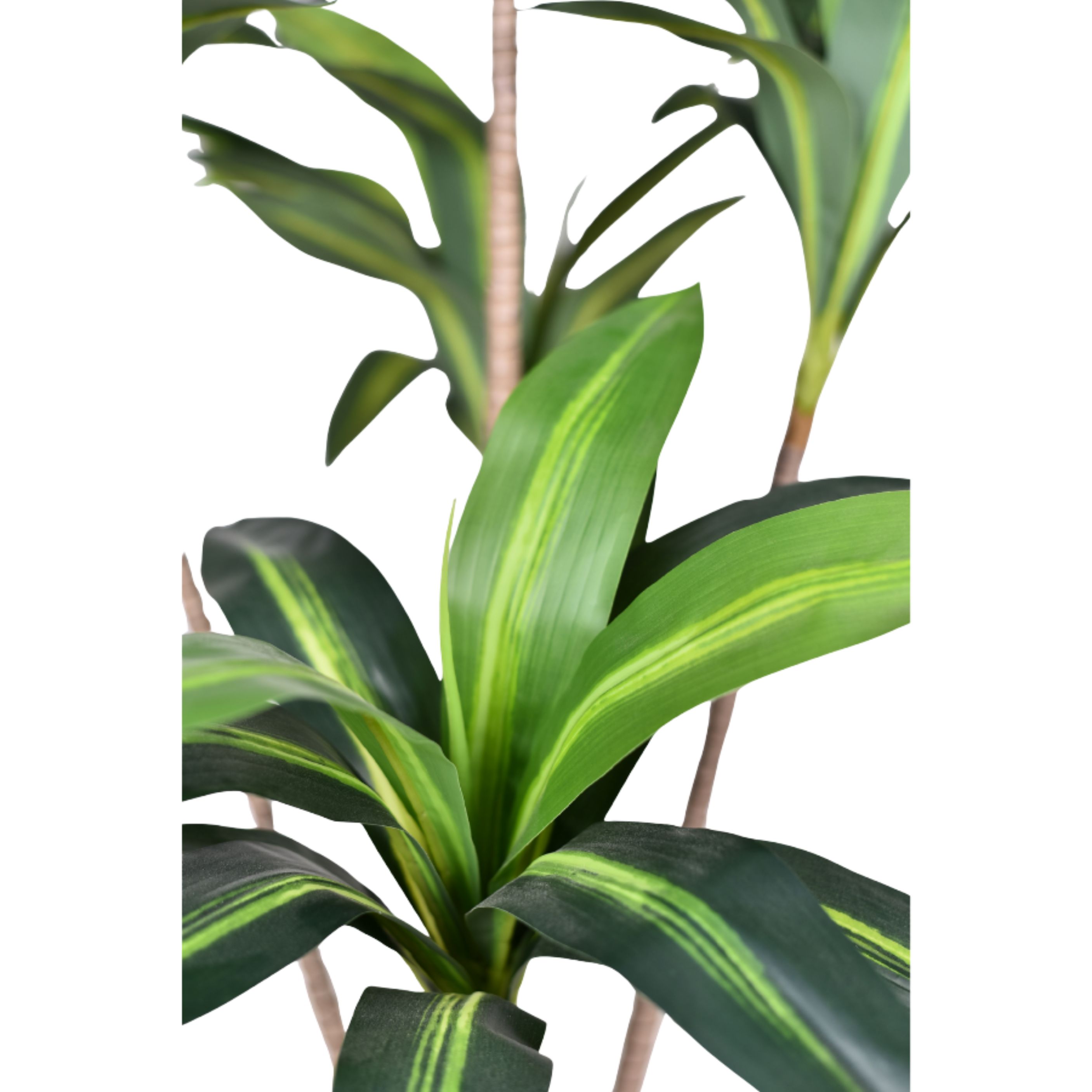 TGyJ2tHsStVyOrGWcnAegO18hd9LutpC3Qefue4U.jpg