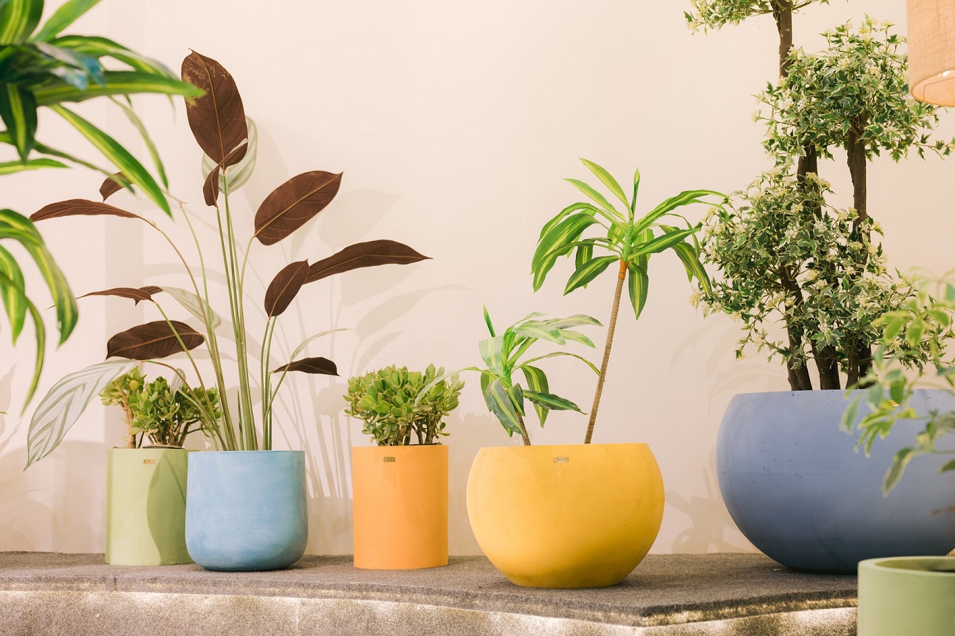 Tut Round Concrete Planter - Bold Color Pot with Sculptural Design 2