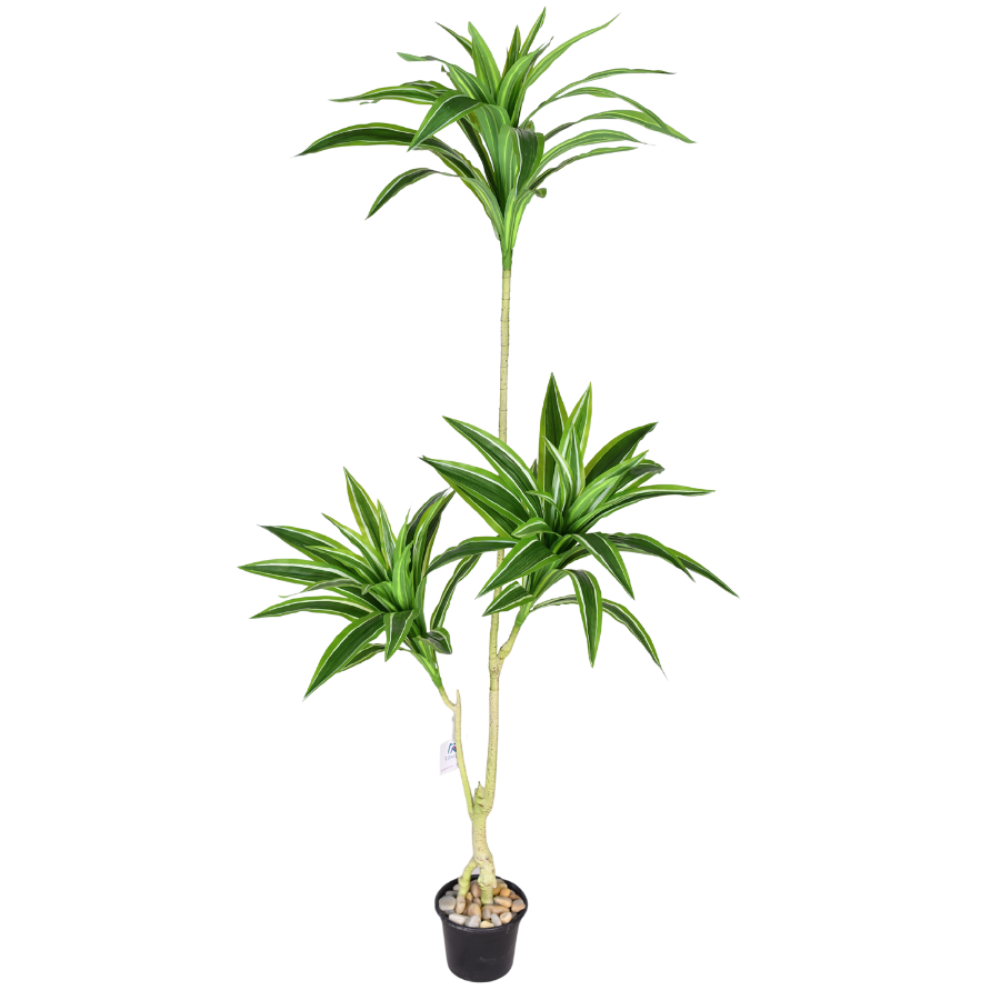 VCGeZ8pZbbrcsePhLdLFC4GRQMTzRvzrCfIf7nYA.png