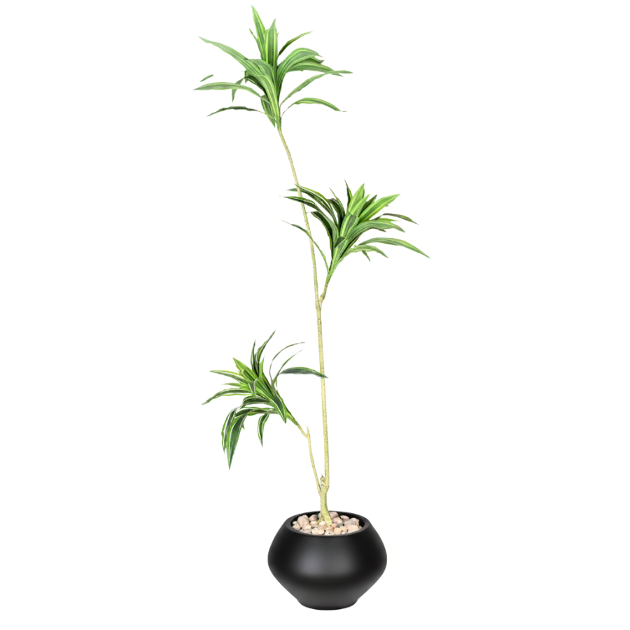VGF6qR9kCgz1SUbudUkHAw9CetQkIqSr2W94aSVO.png