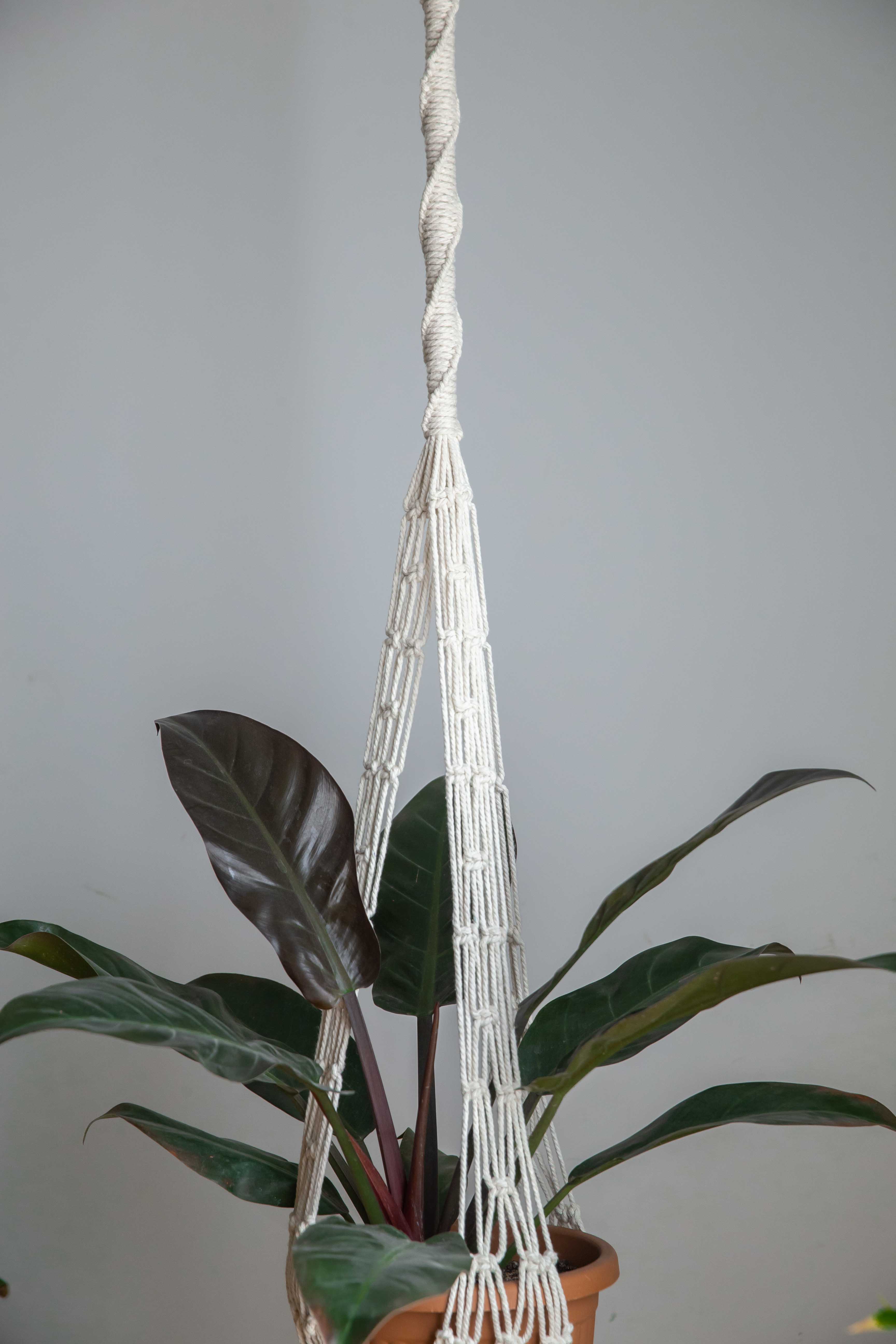 Long Half Spiral Hanging Planter 1