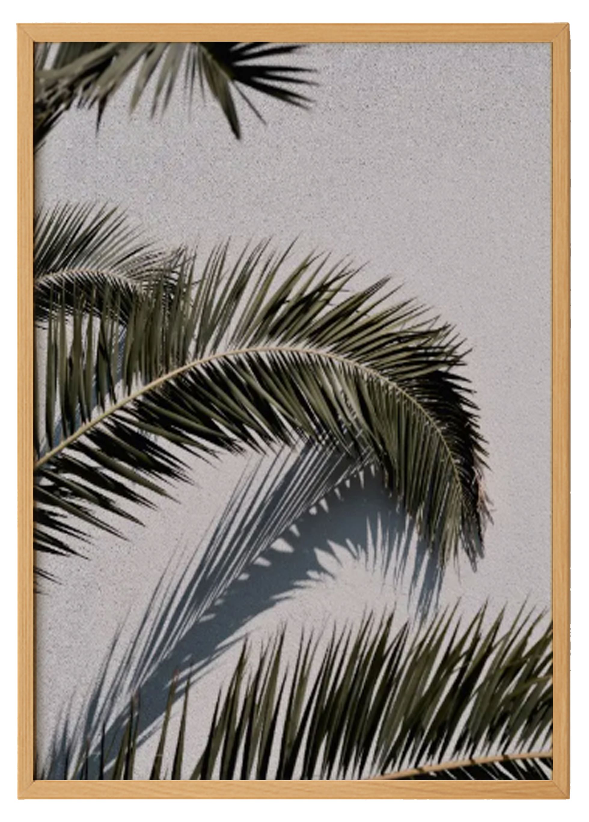 Palm Trees Print 2 0