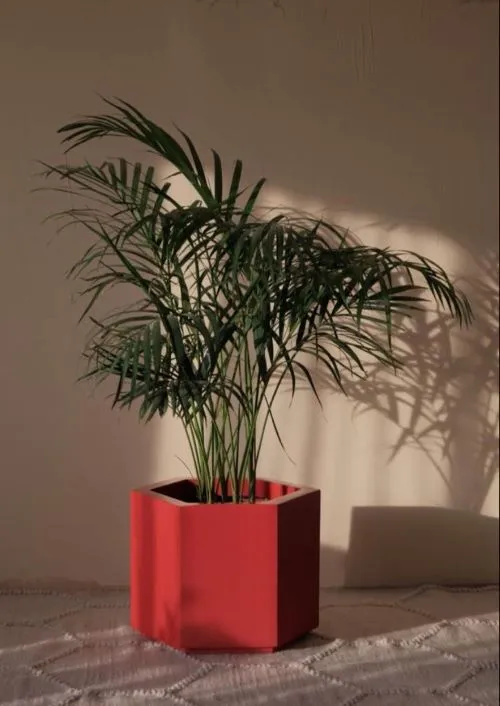 Fiber Hex Plant Pot Red 1