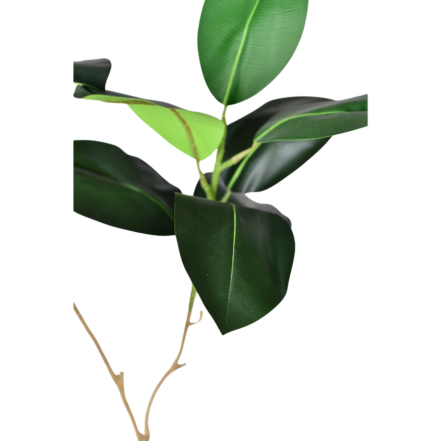 WYYKBDFRynhOgQE5NliXHUwTI9kUD6Mo3Wc9s5xZ.png