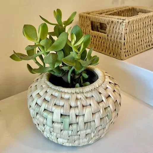 Belly plant pot cover 1