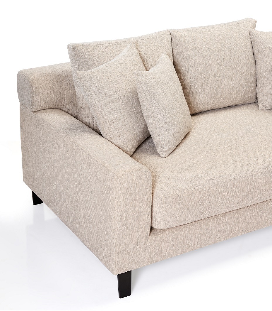 Alenny Modern L-Shape Sofa 2