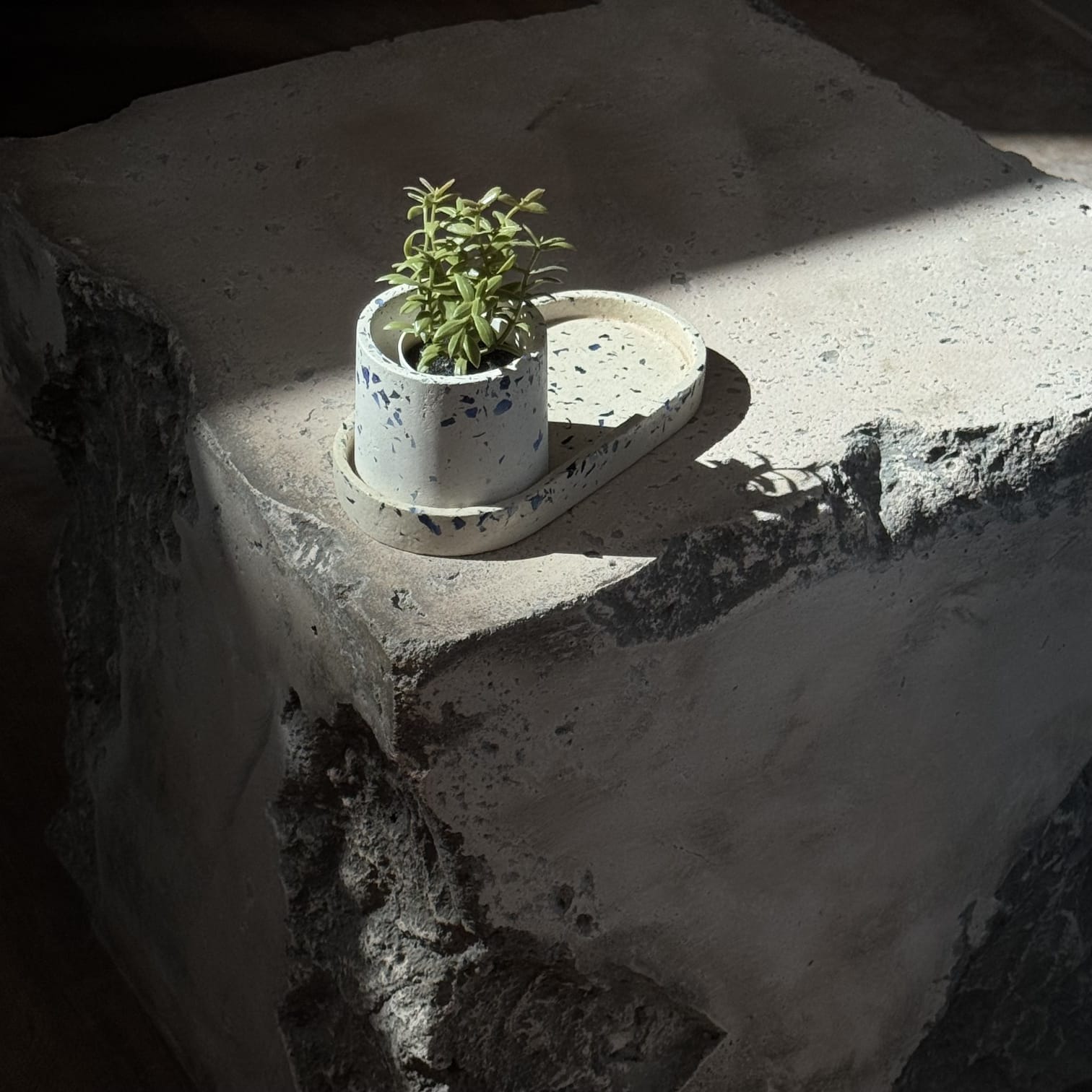 Concrete Decorative Cup 1