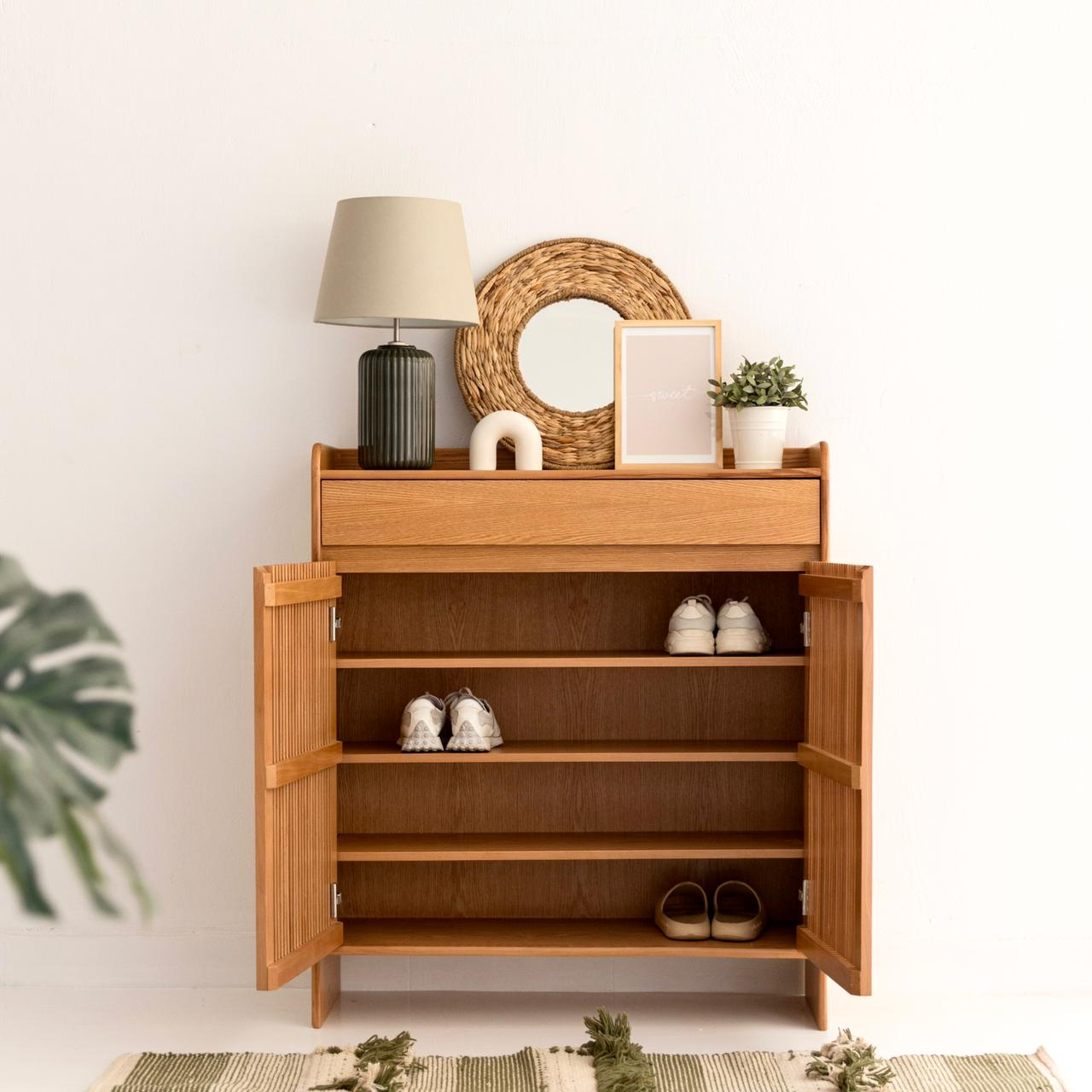 Barlon Shoe Storage 2