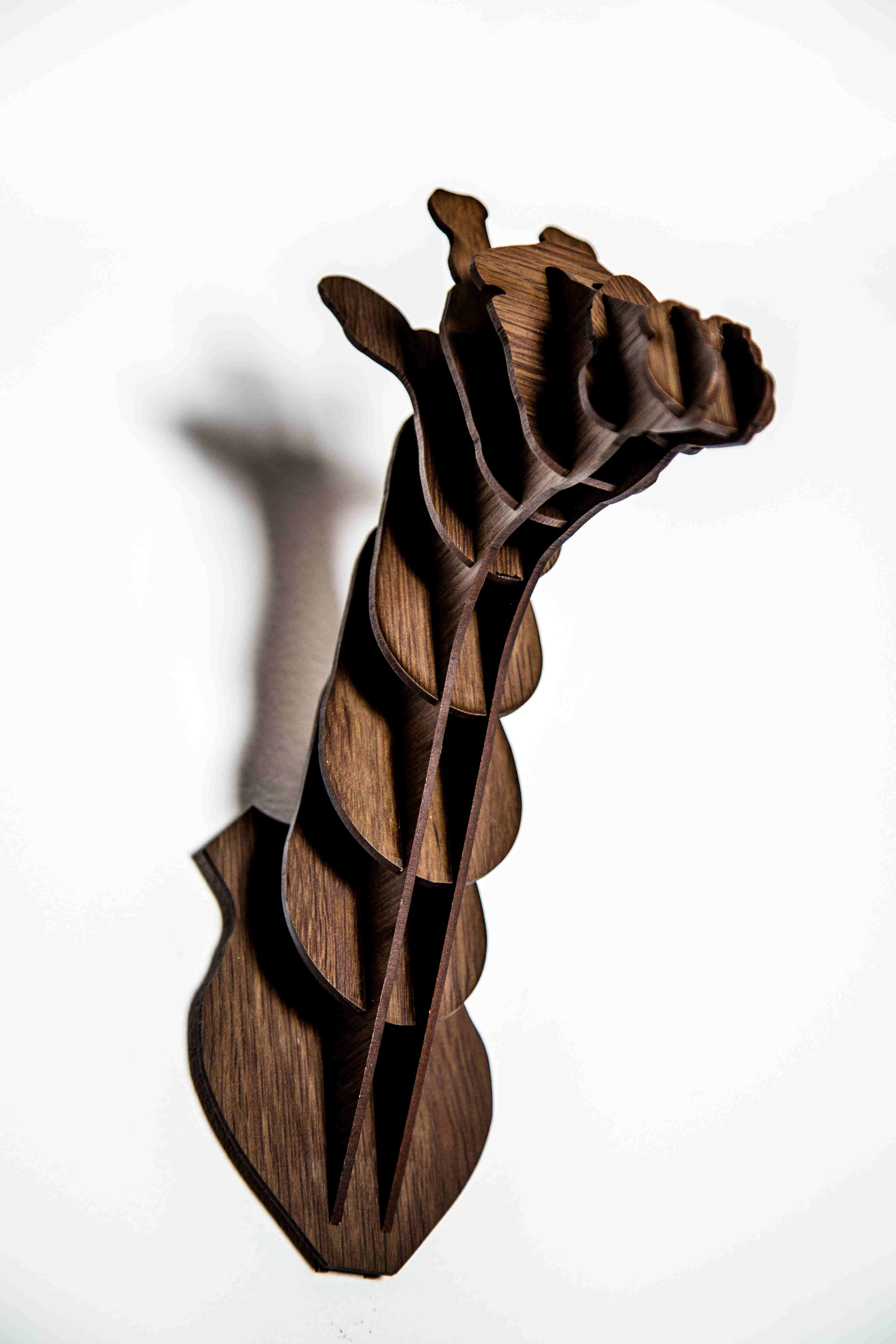 Cosmo The Giraffe Head 0