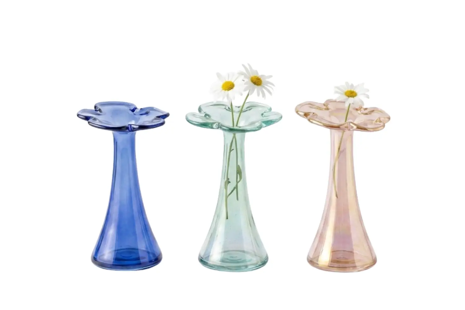 Glass Flower Vase