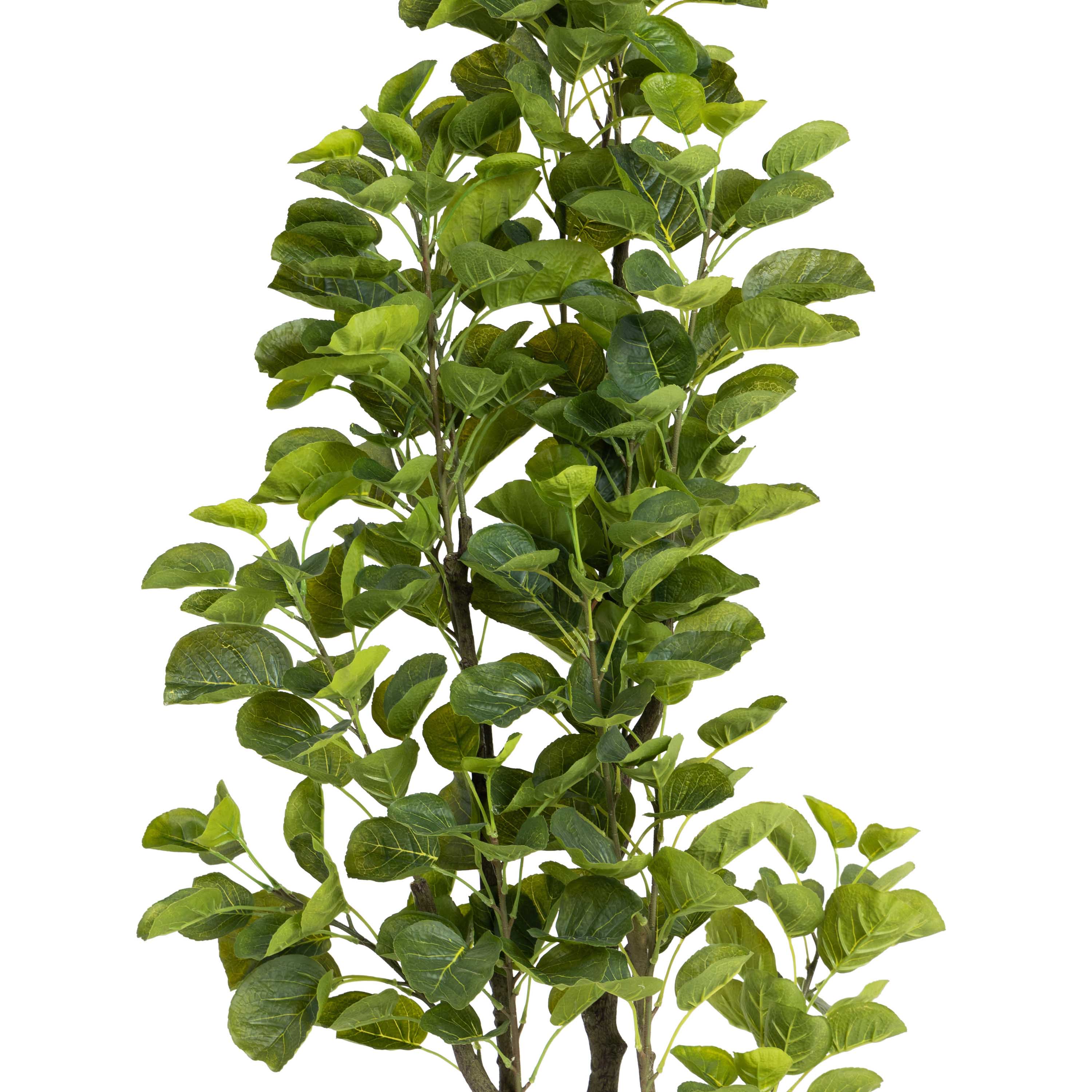 Ficus Artificial Plant 1