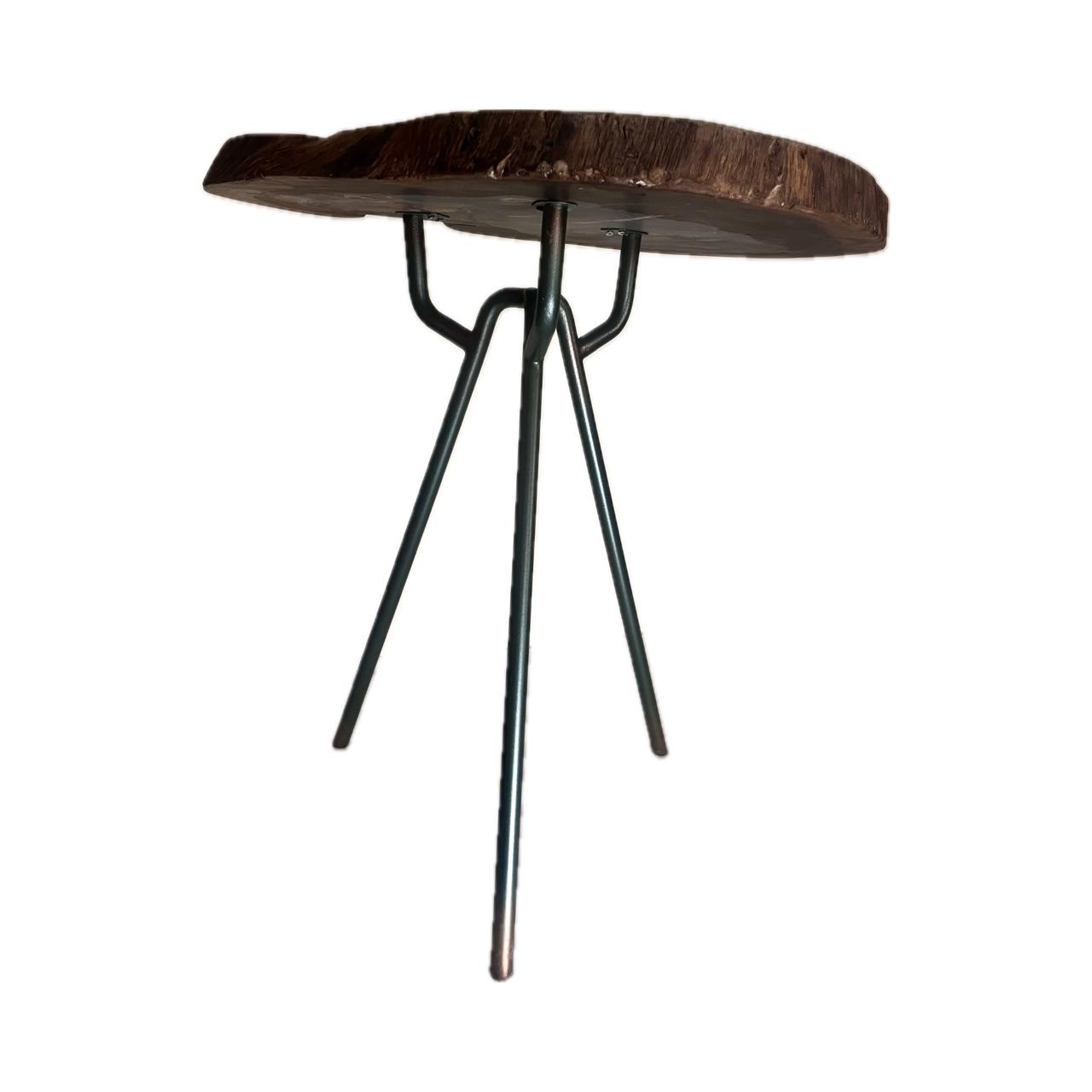 Tree Log Side Table – Resin & Natural Leaves 2