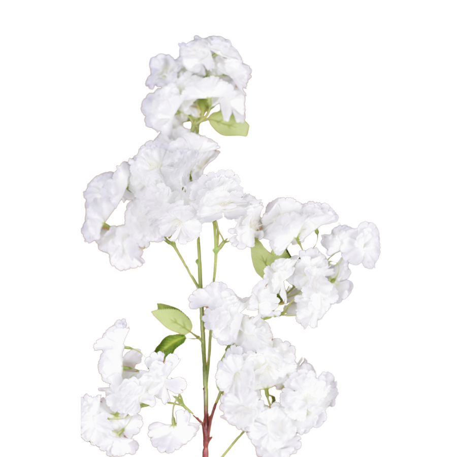 YJNiWGquoesRh8duWXsdremQGBkp9n8ggNX2M6LX.png